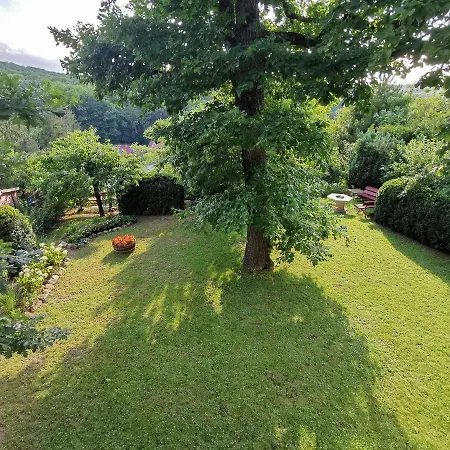 Tuenderi Csalados Miškovec